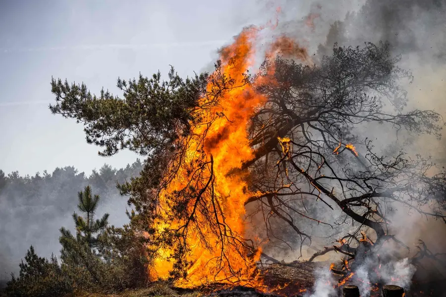 Wildfire Netherlands