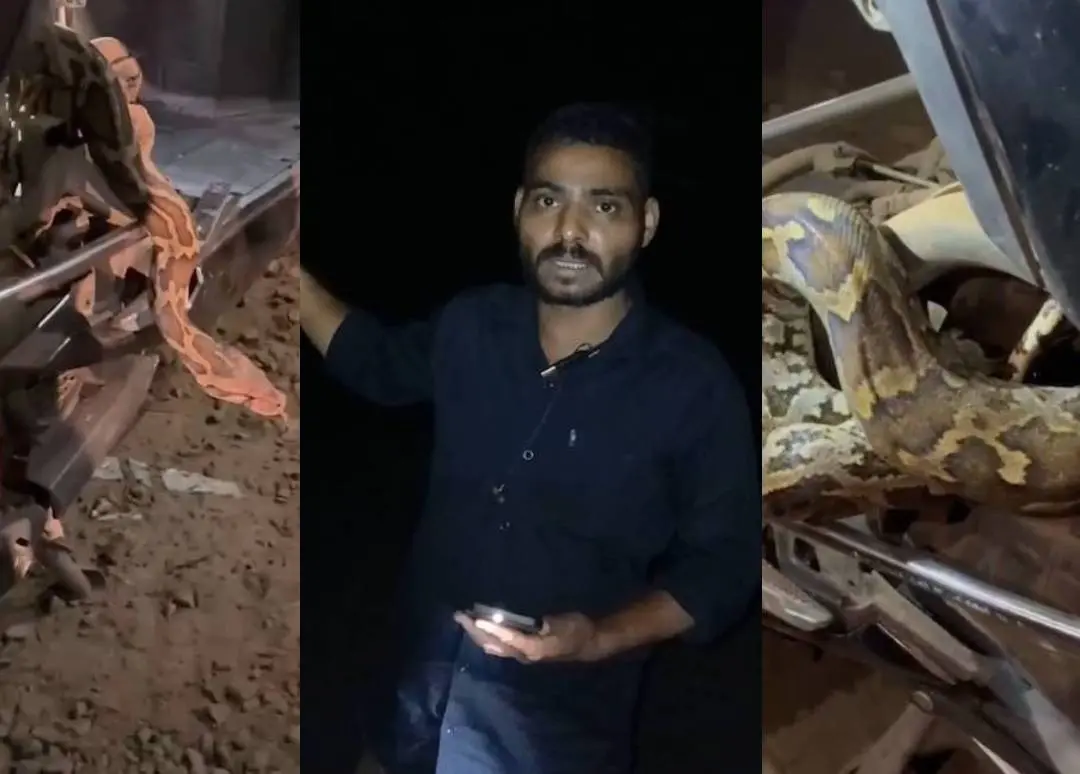 സ്കൂട്ടറിൽ കുടുങ്ങിയ പെരുമ്പാമ്പ്, നൗഫല്