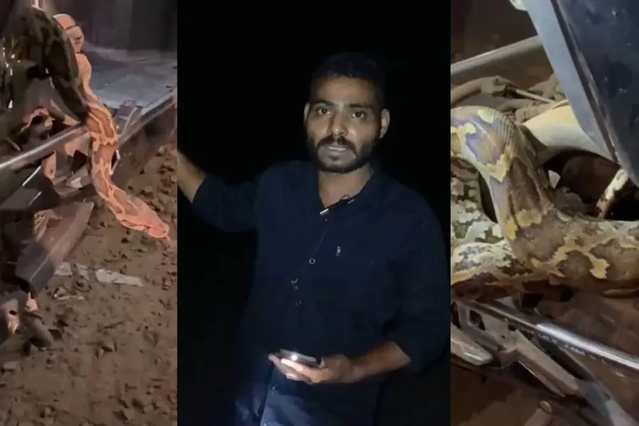 python rescue