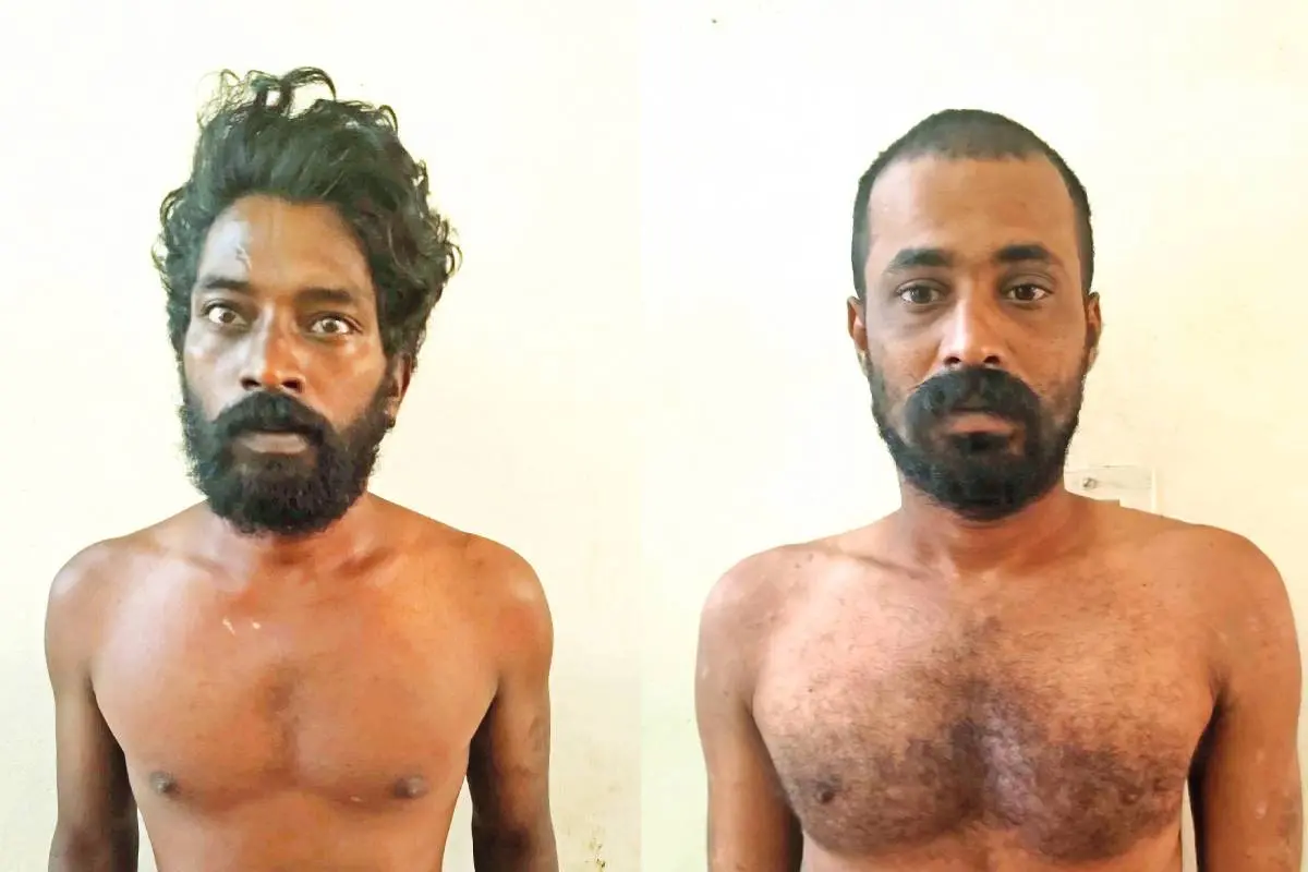 രാഹുൽ, ഡാനിഷ്