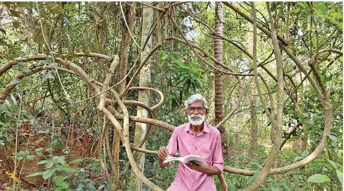 വി.കെ. ശ്രീധരൻ പുരയിടവനത്തിൽ