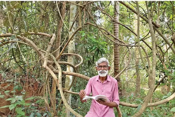 വീടിന് ചുറ്റും ‘കാടുപിടിപ്പിച്ച്’ ശ്രീധരൻ; ഒരേക്കർ പുരയിടം 25 വർഷംകൊണ്ട് വനമാക്കി