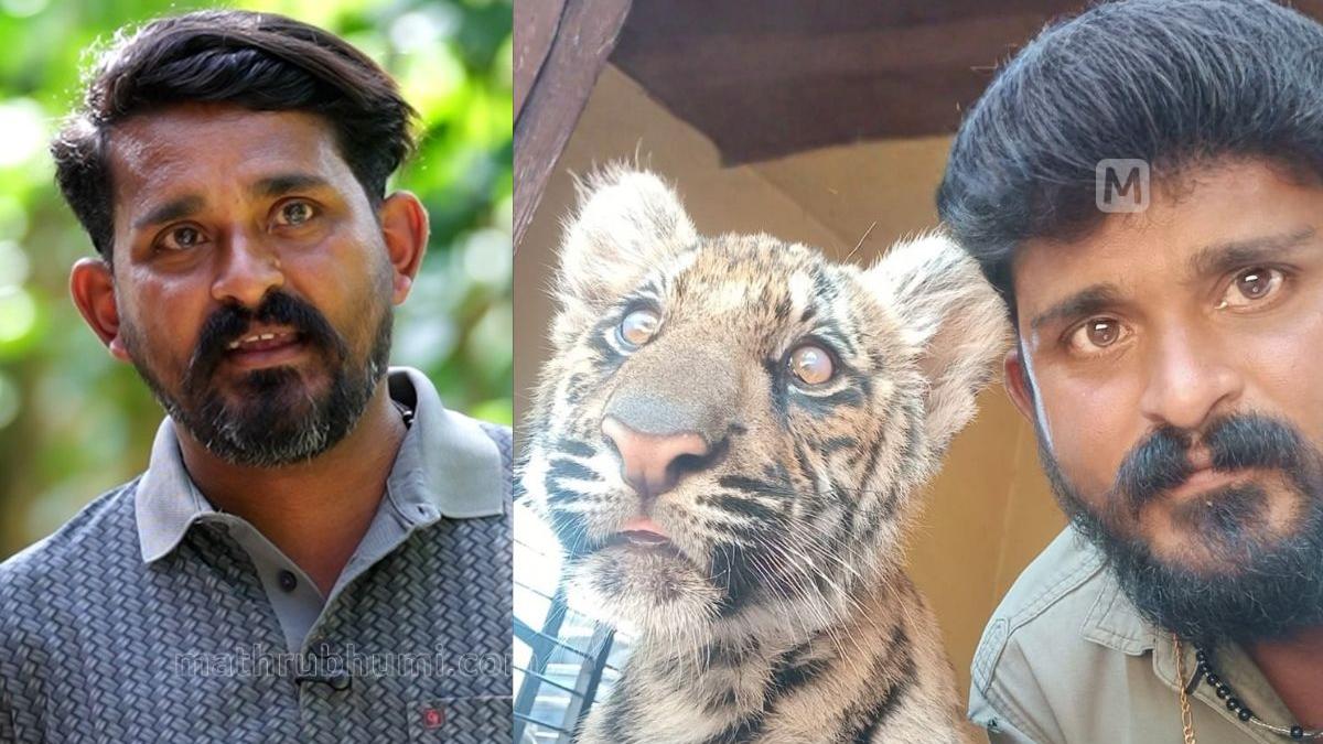 പെരിയാറിന്റെ മകൾ ഇനി പുത്തൂരിലേക്ക്; മംഗളയ്ക്കൊപ്പം വാച്ചർ റോയിയും തൃശ്ശൂരിലേക്ക്