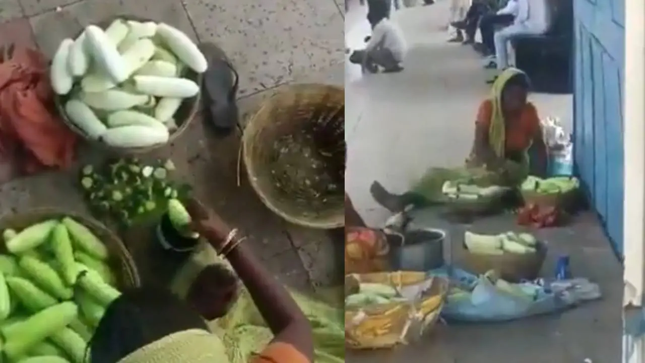 സാമൂഹിക മാധ്യമങ്ങളിൽ പ്രചരിച്ച വീഡിയോയിൽ നിന്ന്| ഫോട്ടോ: X/@@NCIBHQ