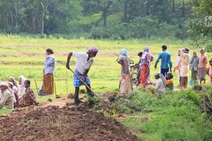 ഇഴഞ്ഞിഴഞ്ഞ് തൊഴിലുറപ്പ്: നഷ്ടമായത് 43.15 ലക്ഷം തൊഴിൽദിനങ്ങൾ