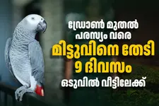 മിട്ടുവിനായി പരസ്യം നൽകിയും ഡ്രോൺ പരിശോധന നടത്തിയും റിനോയ്; ഒടുവിൽ 9-ാം നാൾ വീട്ടിലേക്ക്