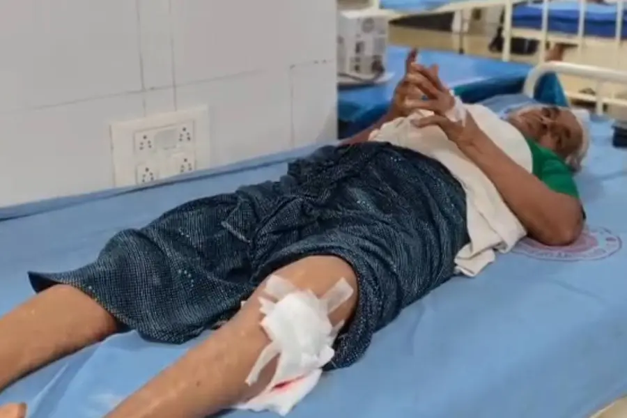 അടൂരിൽ പന്നിയുടെ ആക്രമണത്തിൽ വയോധികയ്ക്ക് ഗുരുതര പരിക്ക്