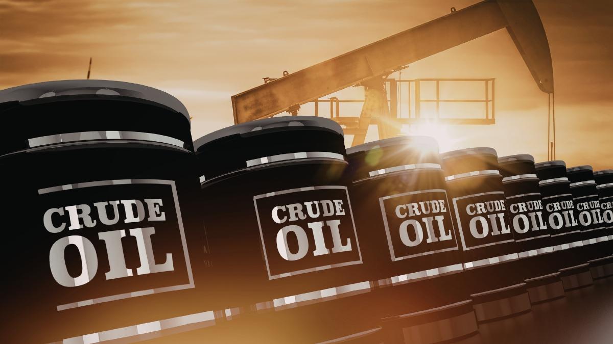 India has 60 days of crude oil, natural gas reserves; only 45 days of LPG stock