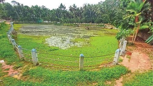 അനാസ്ഥയിൽ ഇരുമ്പിൽ കുളം: നഗരസഭയുടെ കരാർ ലംഘനം നാടിന് തിരിച്ചടിയാകുന്നു