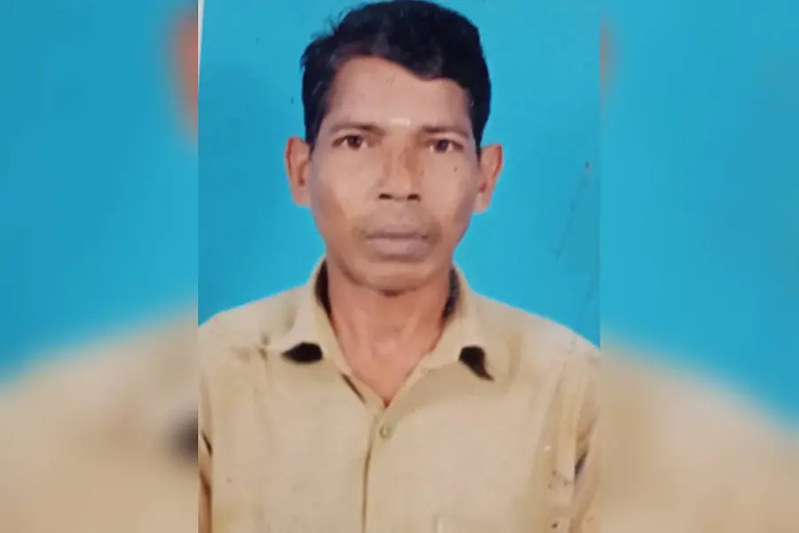 elephant attack death