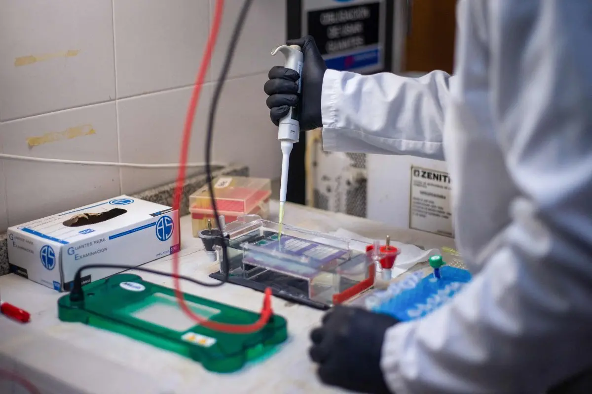 Laboratory technician Luciana Plum prepares agarose gels at the Population Genetics and Evolution Laboratory of the Institute of Diversity and Animal Ecology (IDEA-CONICET-UNC) at the Faculty of Exact, Physical and Natural Sciences (FCEFyN) in Cordoba, Argentina, on May 13, 2026 (Photo: AFP)