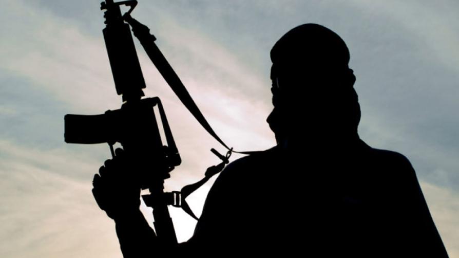 US and Nigerian forces have successfully eliminated top ISIS leader Abu-Bilal al-Minuki in a joint operation. Read the full report on this major security strike.