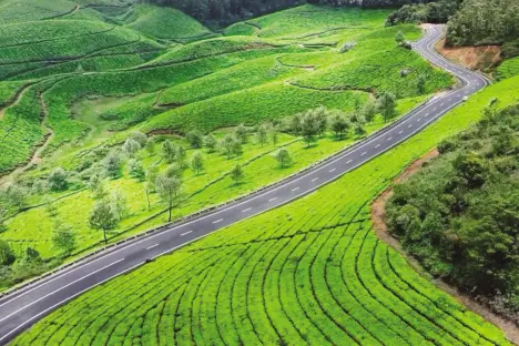 Munnar to set up green check posts; Entry fee for tourist vehicles from August
