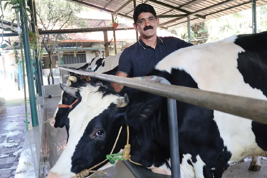 പുല്ലെത്തിക്കാൻ 'ഗ്രാസ് റോപ്പ് വേ', ഈച്ചയെ പിടിക്കാൻ പച്ചക്കുടം; തങ്കച്ചന്റെ ഹൈടെക് ഫാം വിശേഷങ്ങൾ!