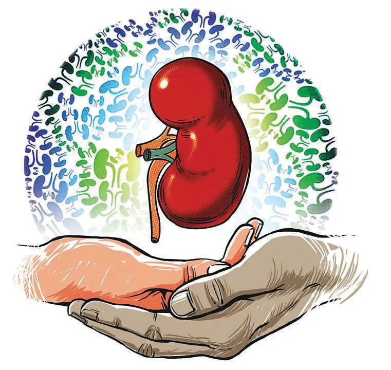 Representational Image: Mathrubhumi