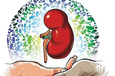 Indian army airlifts kidney in emergency mission to save soldier’s wife