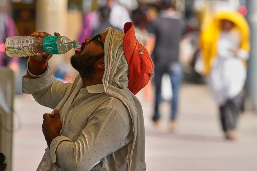 Heat Wave.jpg