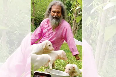 Why is a rare Royal Hunting Dog being protected in a village near Pandalam?
