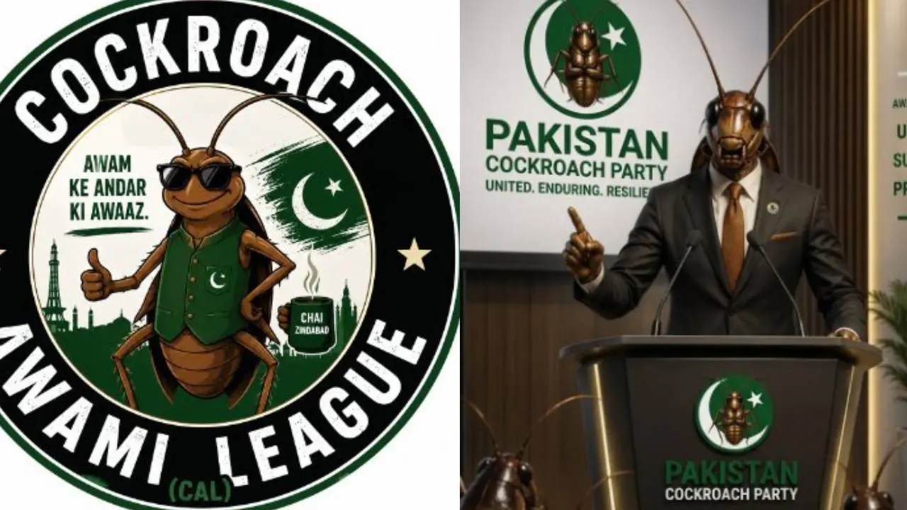 Images : X / @CAL_pak1, @pakicockroach