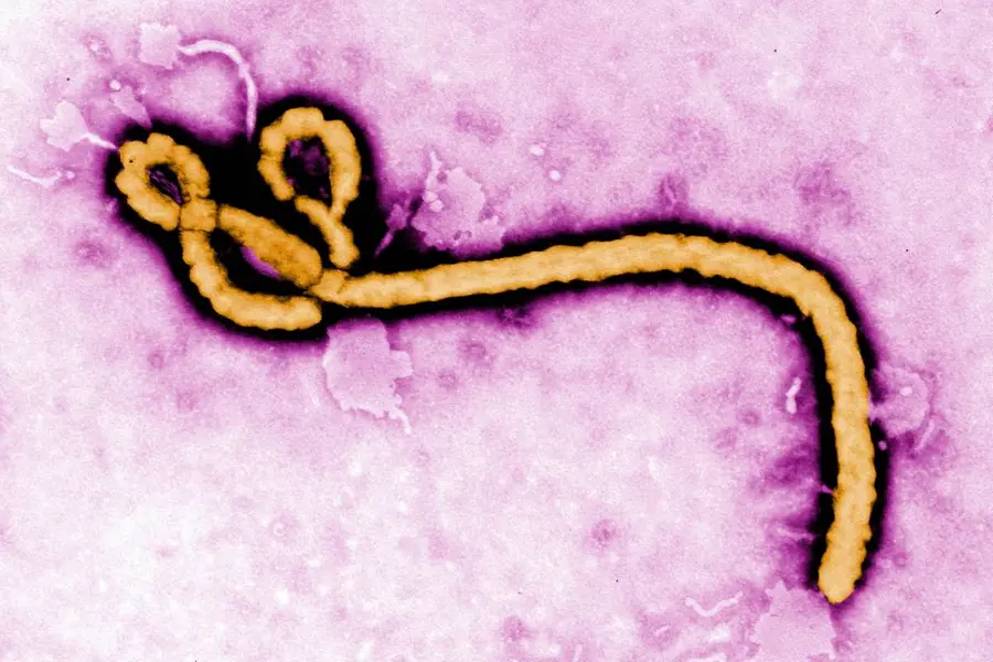 Ebola Alert