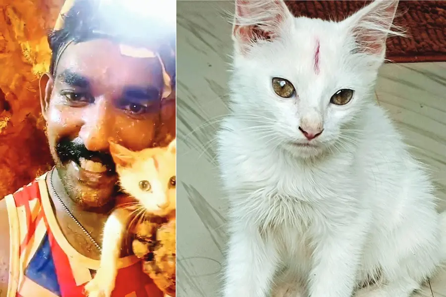 30 അടിയുള്ള കിണറ്റിൽ 5 നാൾ; ഉയിർത്തെഴുന്നേറ്റ് ‘ചിരഞ്ജീവി’, ജീവൻ പണയംവെച്ച് രക്ഷകനായത് ലിജോ
