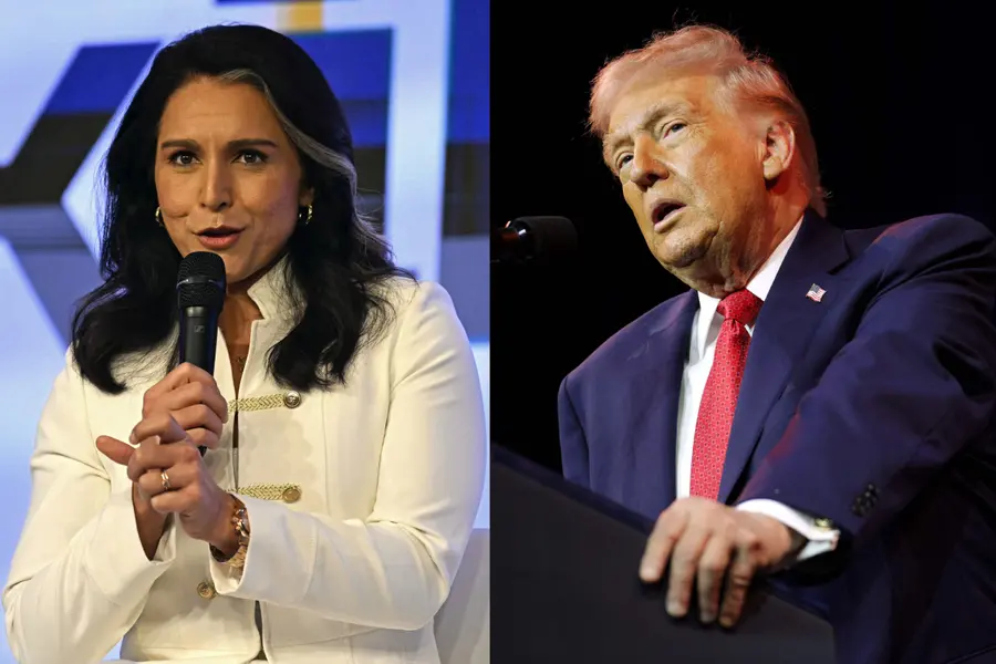 Tulsi Gabbard -Donald Trump