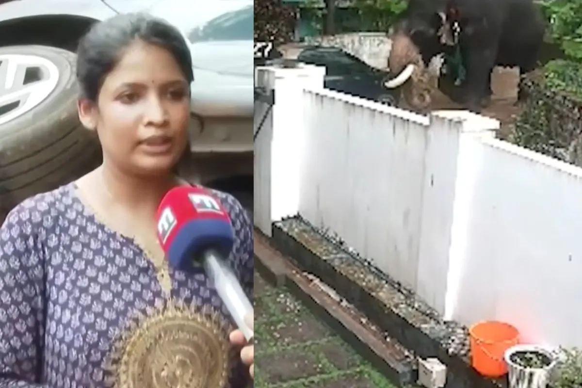ആനയുടെ ആക്രമണത്തിൽപ്പെട്ട സംഗീത, കാർ ആക്രമിക്കുന്ന ആന | Photo: Screengrab/ MBI News