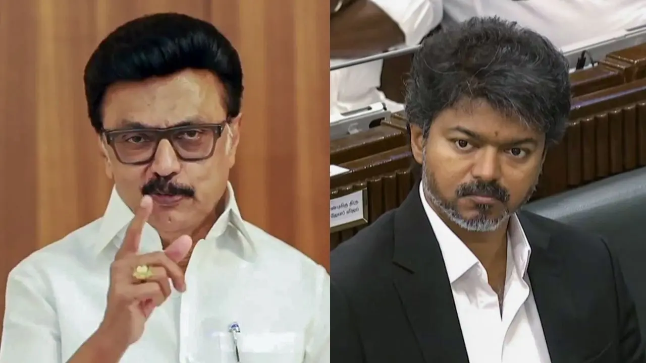എം.കെ. സ്റ്റാലിൻ, വിജയ് | Photos: ANI