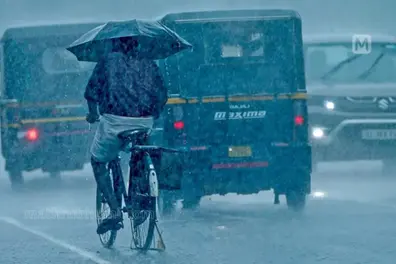 Kerala weather update: Orange alert in Ernakulam, yellow alert in 11 districts; winds wreak havoc