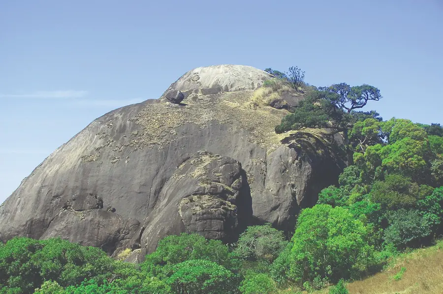 Pakshipathalam