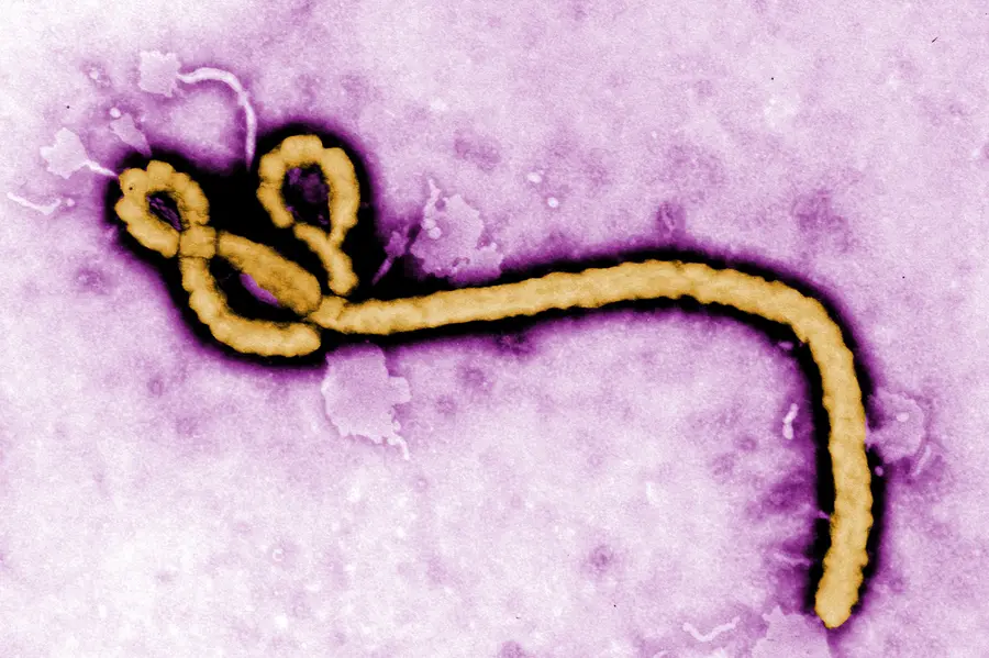 Ebola Alert