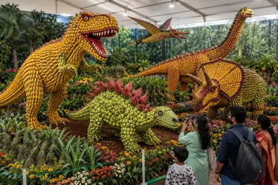 Dinosaurs come alive in fruits at Coonoor’s 66th Fruit Show