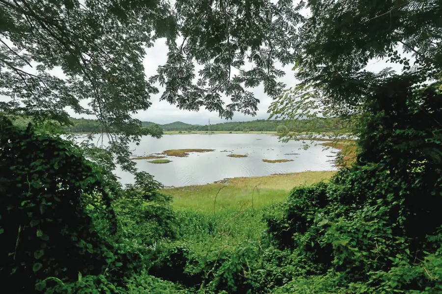 സംരക്ഷണം ഇല്ലാതാകുന്നു; ‘തണ്ണീർത്തടം’ എന്ന വാക്കിന്റെ നിർവചനം പരിശോധിക്കാൻ സുപ്രീം കോടതി