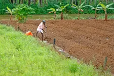 അഗ്രിസ്റ്റാക്ക് കർഷക ഐഡി: ഈ മാസം രജിസ്റ്റർ ചെയ്തില്ലെങ്കിൽ ആനുകൂല്യങ്ങൾ മുടങ്ങിയേക്കാം