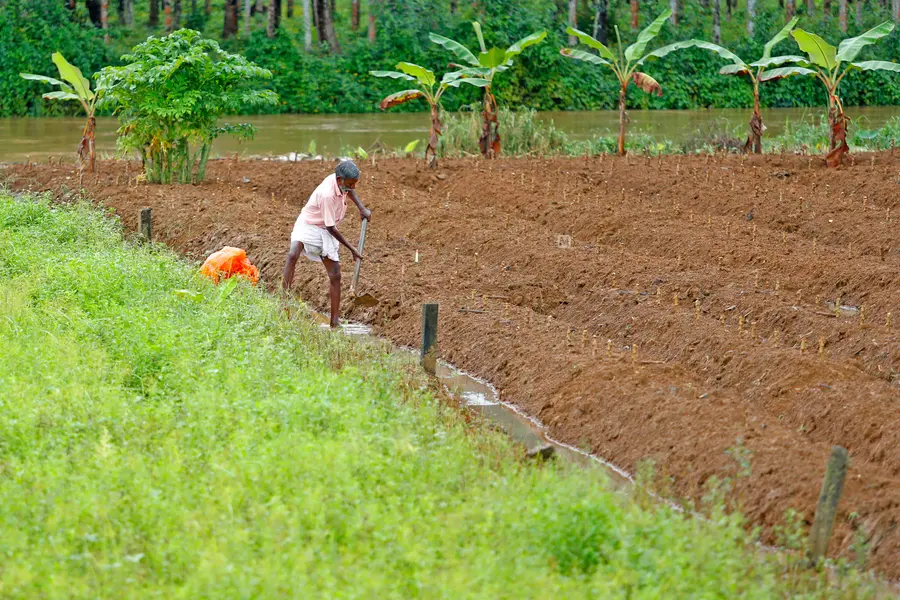 farmer