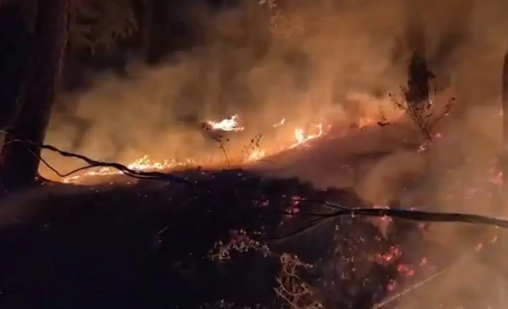 Massive fire near Shimla Mental hospital | IANS Video