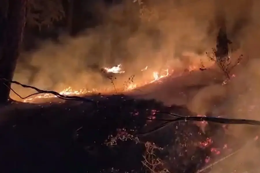 Massive fire near Shimla Mental hospital