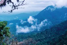 300 അടി ഉയരത്തിൽനിന്നും നേർരേഖയായാണ് അഗുംബെയിലെ വെള്ളം താഴേക്ക് പതിക്കുന്നത്