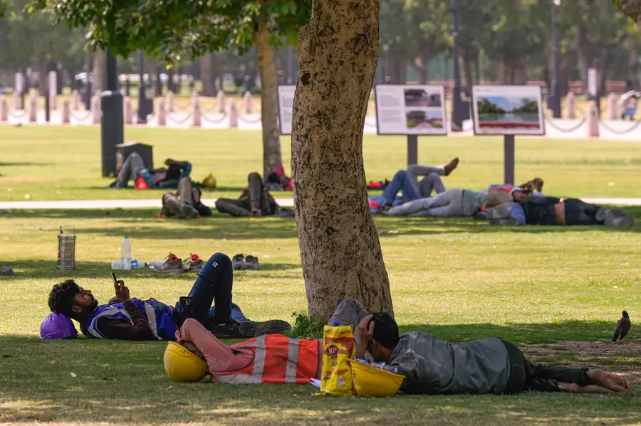 Workers and others rest at the India Gate lawns on a hot summer day in New Delhi