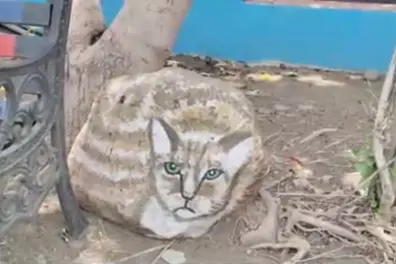 Indore beautifies public gardens with eye-catching art made from waste
