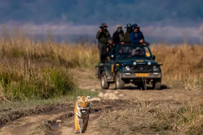 Corbett's Dhikala zone to close for monsoon; last chance for overnight stays