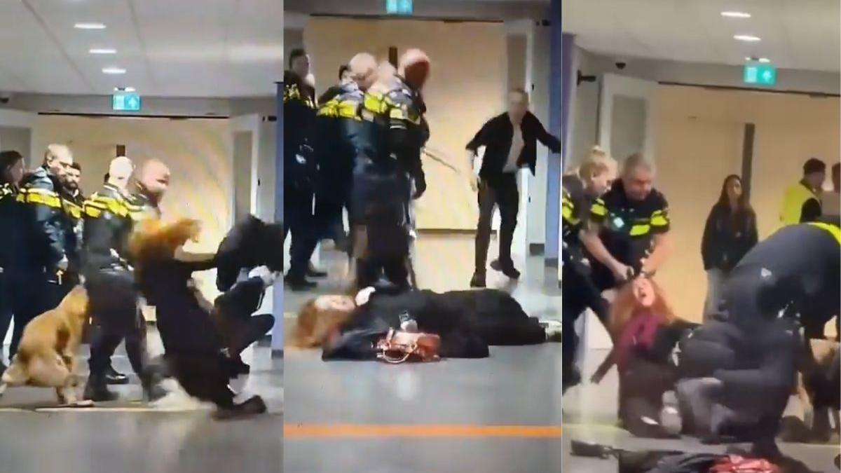 Heavily pregnant woman thrown to ground by Dutch Police; video sparks outrage