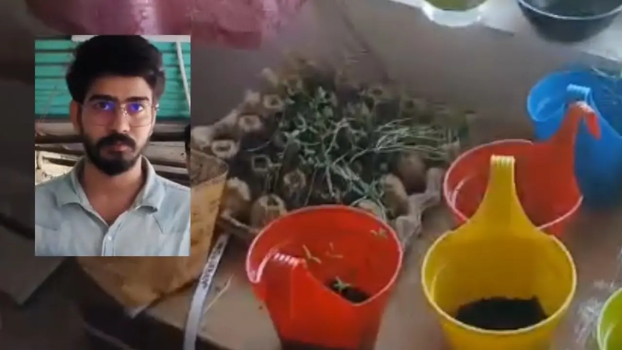 കണ്ടെടുത്ത കഞ്ചാവ് ചെടികൾ, പ്രതി വിശാൽ