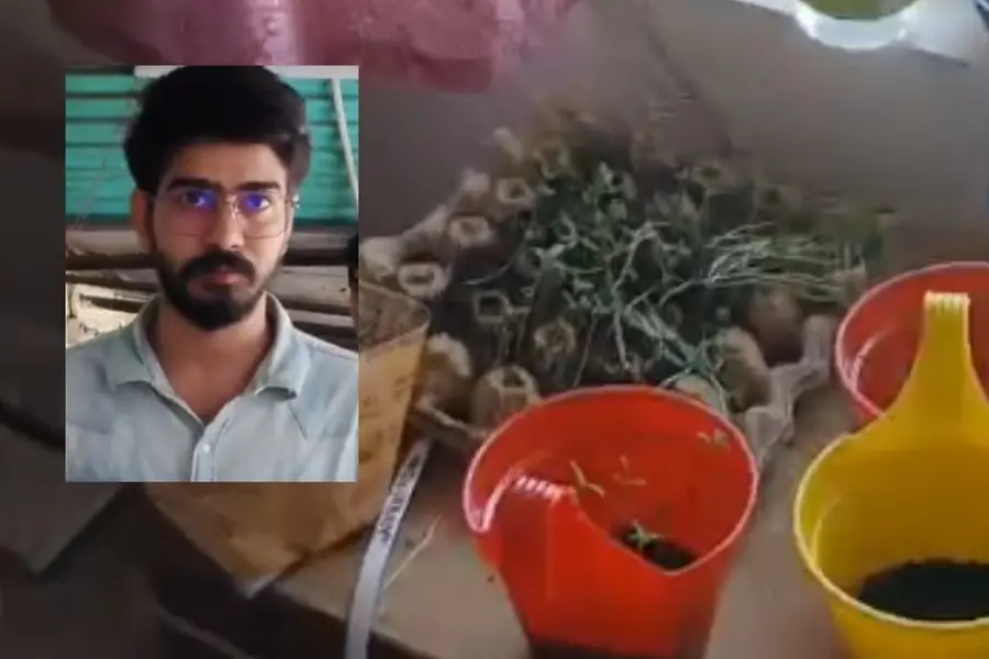 Ganja-Plant-Arrest