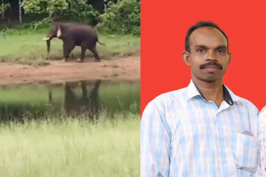 കേരള-തമിഴ്നാട് അതിർത്തിയിൽ കാഞ്ഞിരംപാറ സ്വദേശിയെ കാട്ടാന കുത്തിക്കൊന്നു
