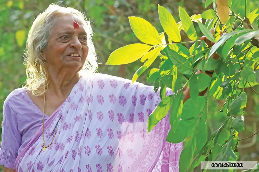 നാലരയേക്കർ പുരയിടം, അപൂർവമായവയടക്കം മൂവായിരത്തോളം വൃക്ഷലതാദികൾ; പ്രകൃതിയോടലിഞ്ഞ് ദേവകിയമ്മ