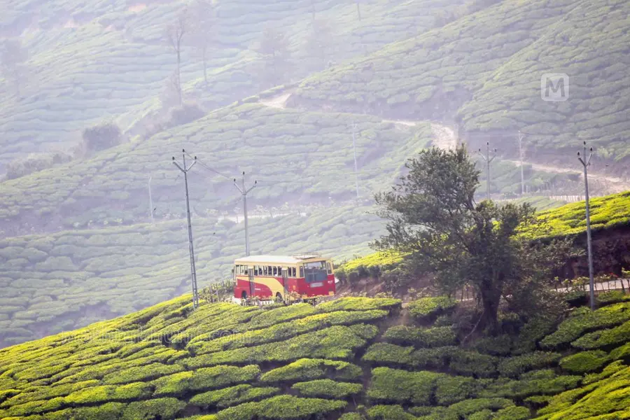 മൂന്നാർ ഇനി കാശ് കൊടുത്ത് കാണണം, മൂന്ന് ചെക്ക് പോസ്റ്റുകൾ വരുന്നു; ജൂലായ് ഒന്ന് മുതൽ ഫീസ്