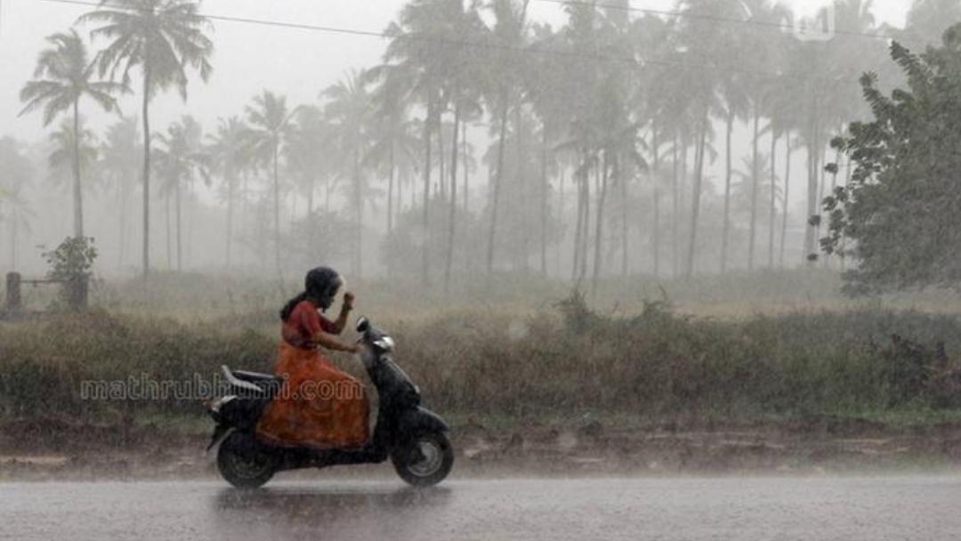 cluster (priority): Mathrubhumi The First Red Alert of the Season: Why Kerala's Northern Districts Are Under Emergency Warnings