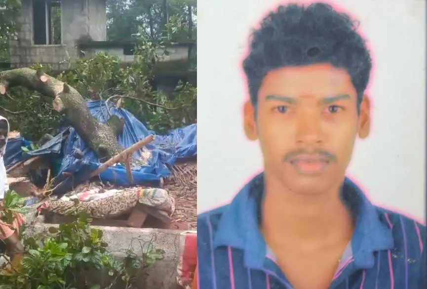 ഷെഡ്ഡിന് മുകളിലേക്ക് മരംവീണ നിലയില്, മരിച്ച വിഷ്ണു