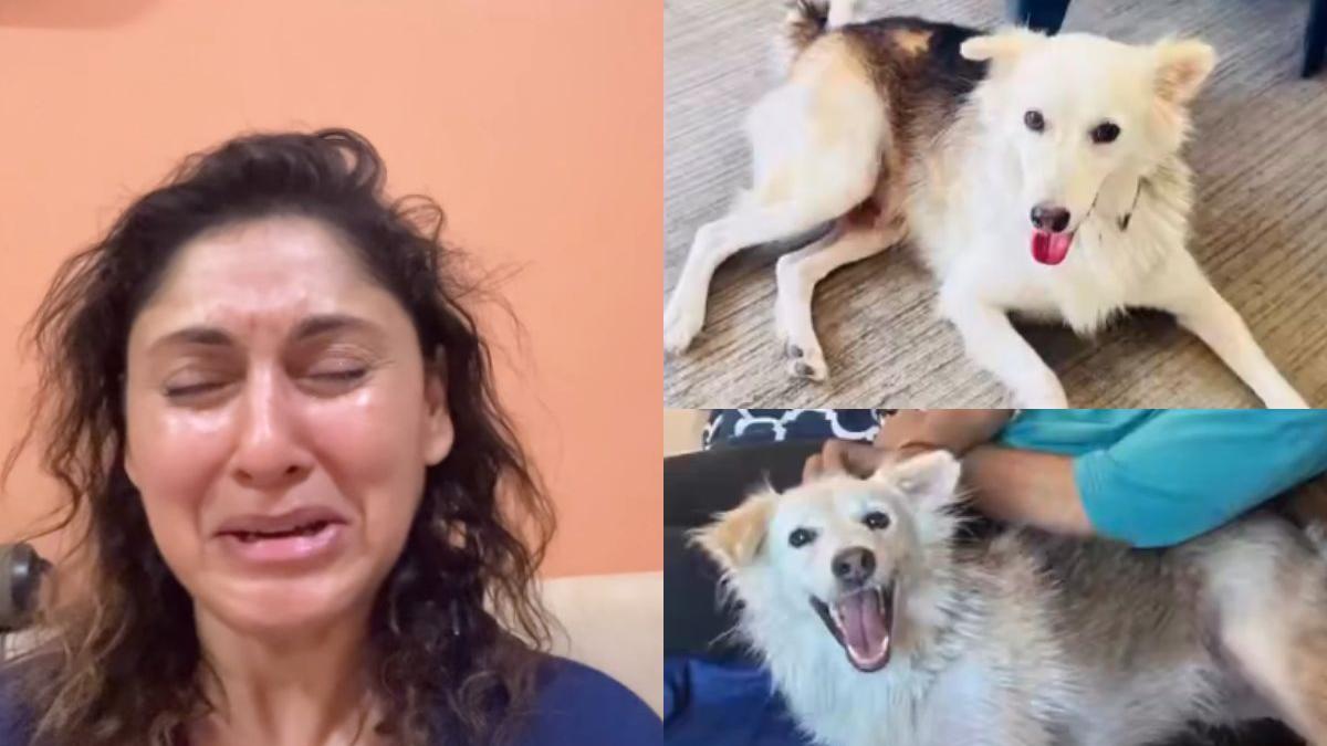 ‘He was brutally murdered’: Actor Manjari Fadnnis inconsolable after community dog’s alleged killing